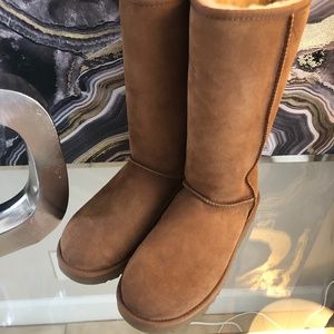 New Ugg Tall Boots